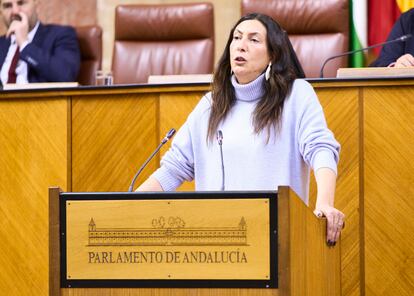 La consejera andaluza de Inclusión Social, Juventud, Familias e Igualdad, Loles López.