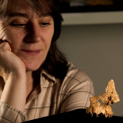 La investigadora Rosa Huguet contempla el fósil 'Pink' hallado en Atapuerca.