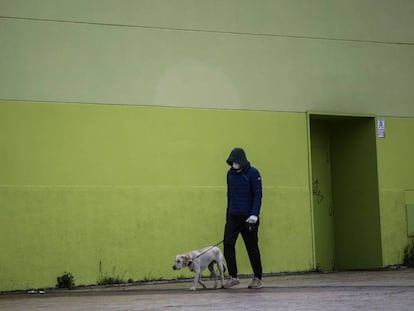Una persona pasea a su perro en Madrid este lunes.