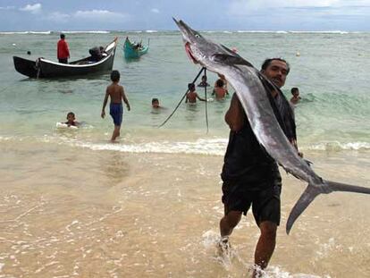 Un hombre acarrea un pez aguja en una playa de Banda Aceh (Indonesia) que resultó afectada por el <i>tsunami.</i>