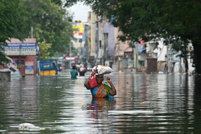 Cambio climático