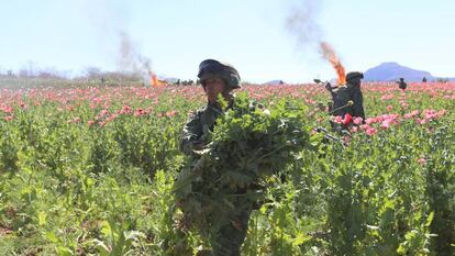 Elementos del Ejército mexicano durante la quema del plantío de Mocorito
