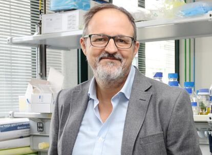 Guillermo López Lluch, catedrático del área de Biología Celular, en su despacho de la Universidad Pablo de Olavide.