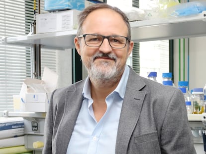 Guillermo López Lluch, catedrático del área de Biología Celular, en su despacho de la Universidad Pablo de Olavide.