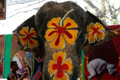 Los mahouts maquillan a los elefantes con flores de vivos colores para participar en el festival Songkan.