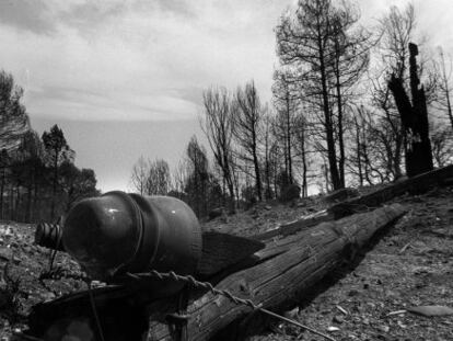 Un poste del tendido el&eacute;ctrico, en la zona donde se produjo el incendio en 1994.