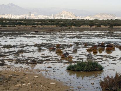 Arriba, el humedal de Agua Amarga; abajo, el Marjal del Moro, en Sagunto.