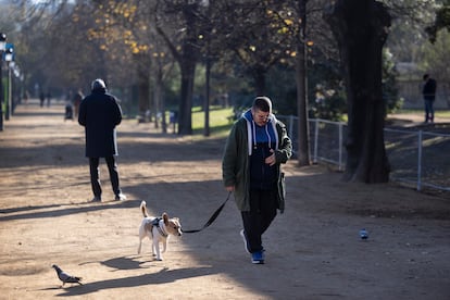 Un hombre paseaba con su perro en Barcelona, en diciembre de 2023.