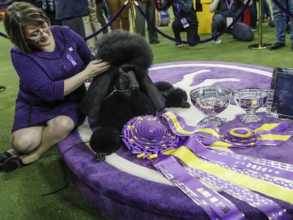 Siba, posa con sus trofeos.