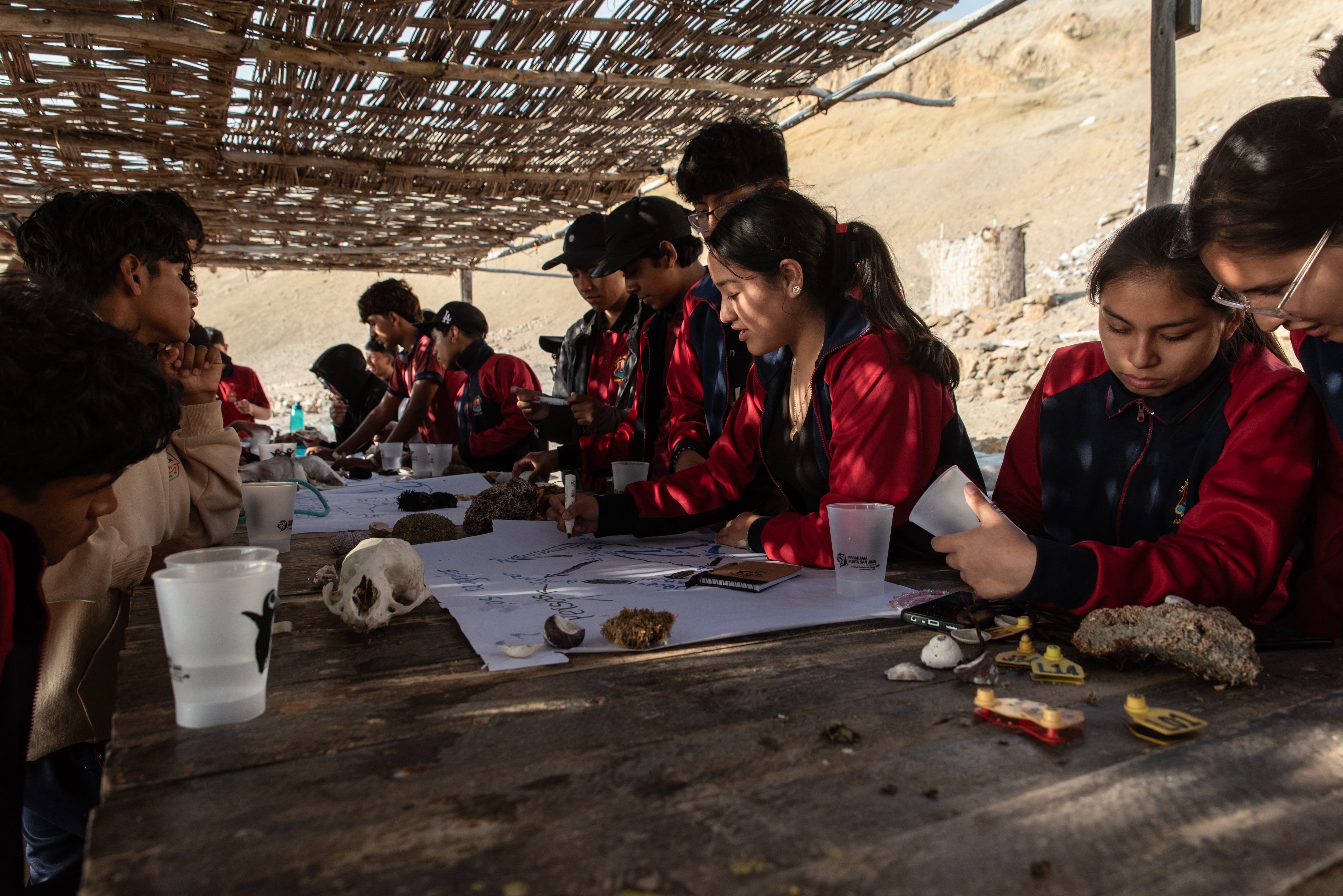 Un laboratorio en medio del desierto de Perú para proteger a los animales de la gripe aviar y ‘El Niño’