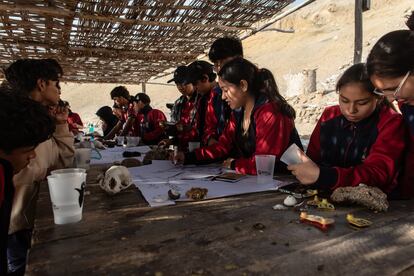 Estudiantes en las aulas naturales del Programa Punta San Juan