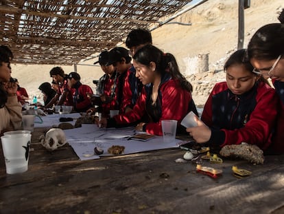 Estudiantes en las aulas naturales del Programa Punta San Juan