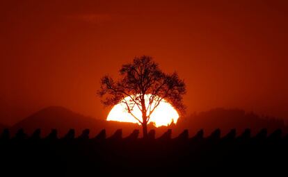 Atardecer en un viñedo de Osthoffen (Francia), el 17 de septiembre de 2017. 