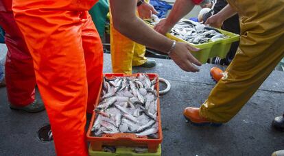 Unos pescadores descargan pescado en la lonja de pescado de Berbés, puerto de Vigo (Pontevedra).