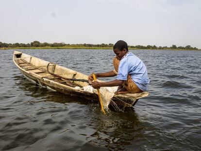 Barka Idriss mientras pesca en Tagal, en la regi&oacute;n del Lago Chad (Chad).