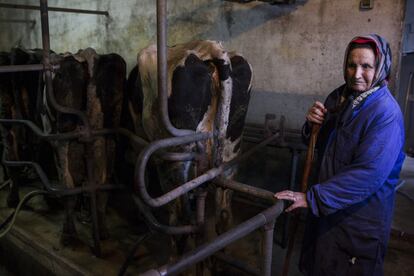 Una señora jubilada observa las tareas de ordeño en una explotación de Rodeiro (Pontevedra).