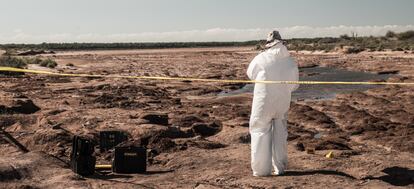 Un equipo forense, en una fosa en Sinaloa.