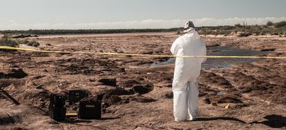 Un equipo forense, en una fosa en Sinaloa. 