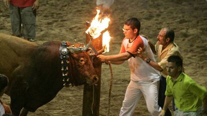 El toro embolado de Castellón.