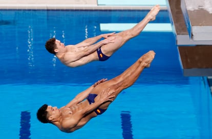 Adrian Abadia y Nicolas Garcia Boissier este domingo en el Mundial de Natación.