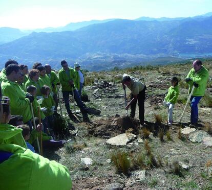 Voluntarios participan en la repoblación de Lanjarón.