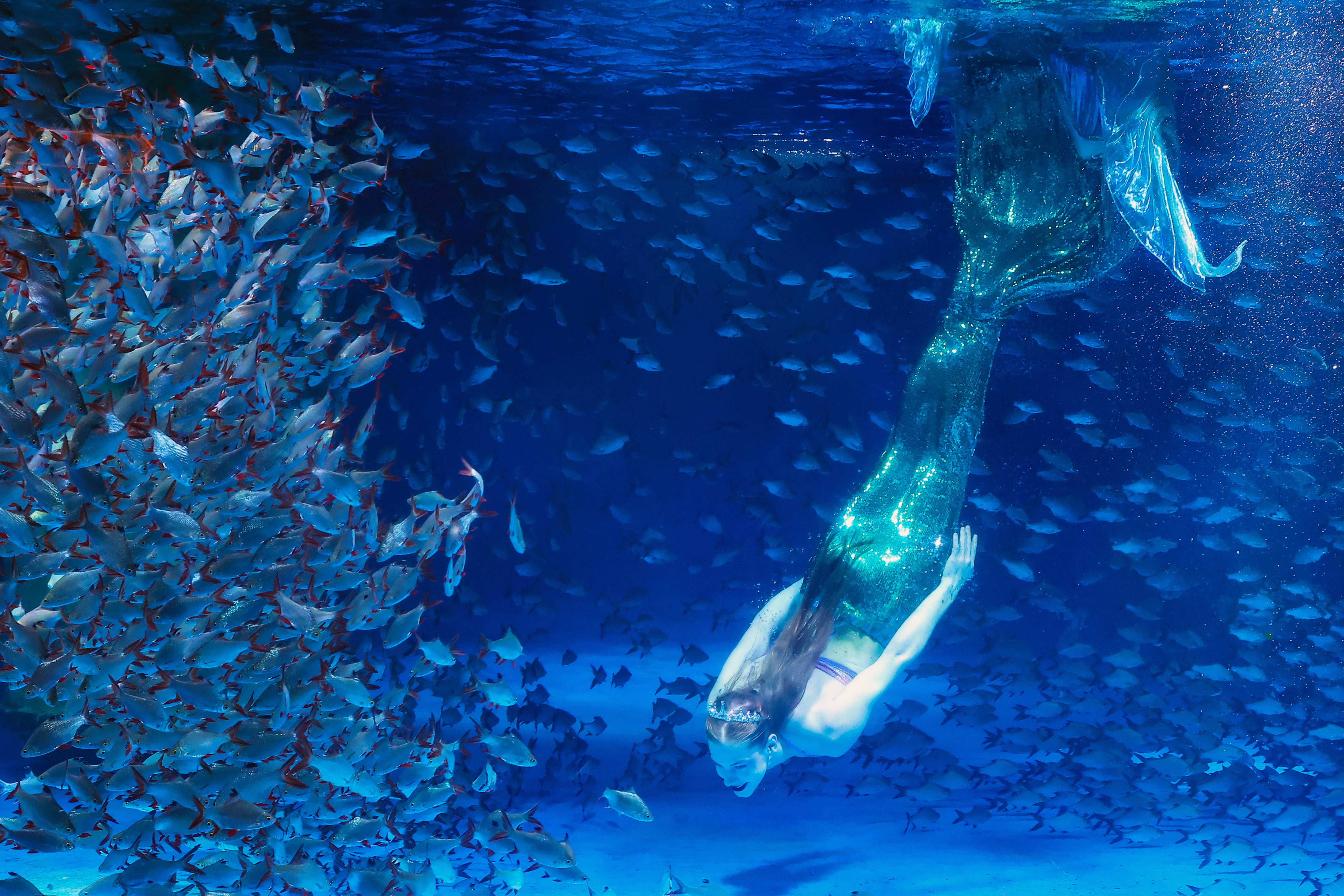 Aventuras con peces y sirenas en Formentera