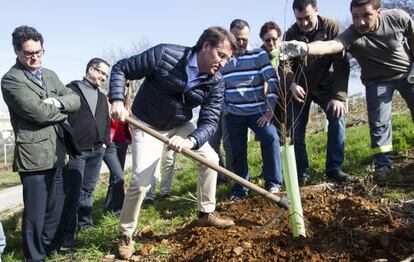 Feijóo planta un árbol en el monte Gaiás de Santiago.