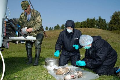 Un cazador ruso espera a que un equipo sanitario analice los patos salvajes que acaba de cazar en Siberia.