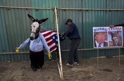 Un hombre vestido de burro para asemejarse a Donald Trump, se prepara para la competición de disfraces en el festival del burro en Otumba, estado de México, México.