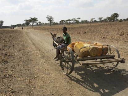 Ni&ntilde;a oromo desplaz&aacute;ndose al pueblo vecino en b&uacute;squeda de agua