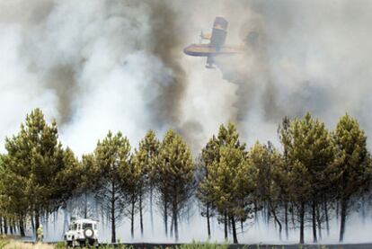 Un hidroavión descarga sobre una zona repoblada con pinos y alcanzada por un incendio en el municipio ourensano de Baños de Molgas.