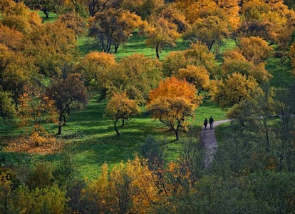 Una pareja, en un parque de Vilnius.