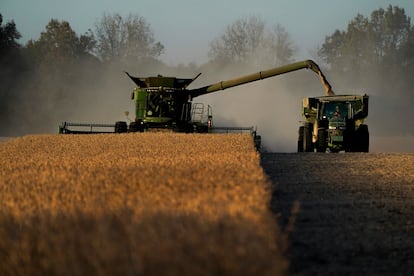Una cosechadora de soja en Kentucky (Estados Unidos).