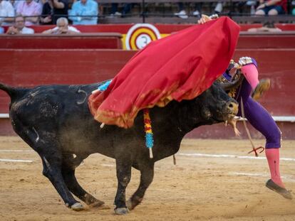 Momento en que el cuarto toro hiere a Rafaelillo en la pierna derecha.