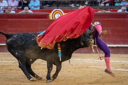 Momento en que el cuarto toro hiere a Rafaelillo en la pierna derecha.