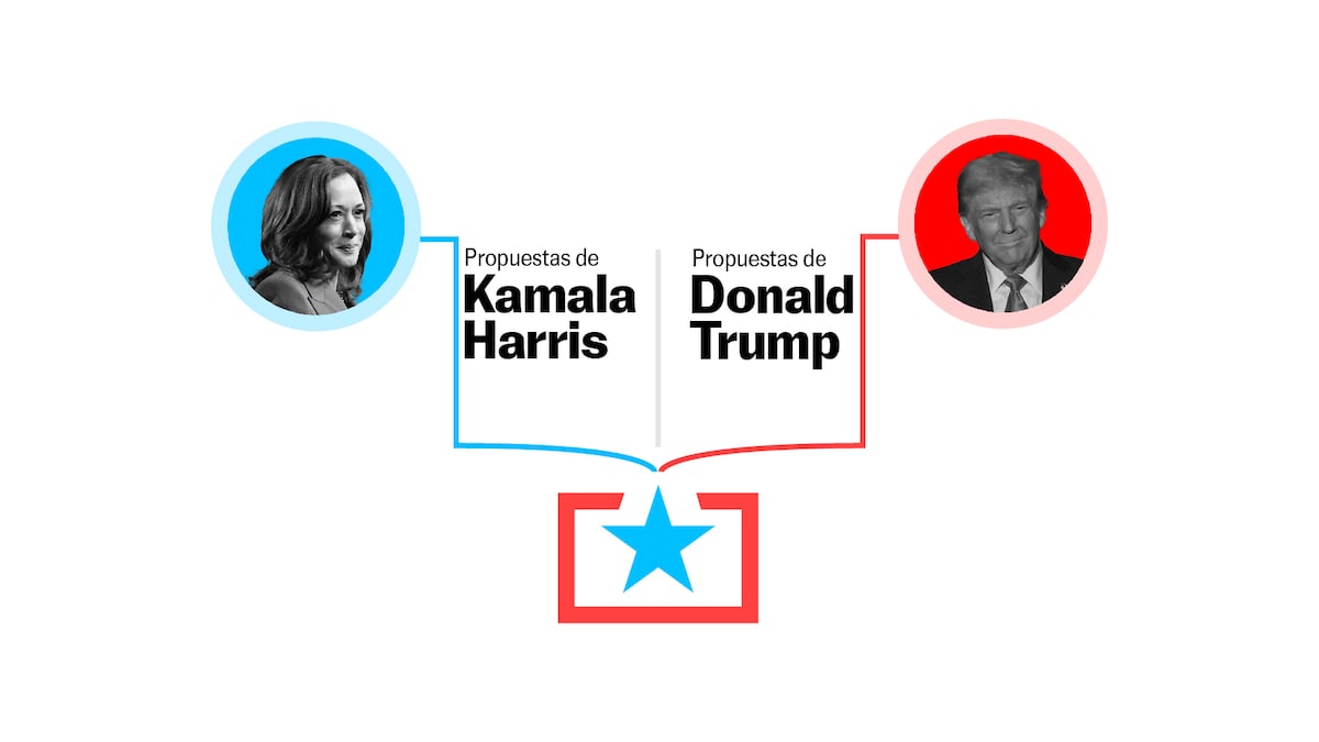 Compare las propuestas de los candidatos a la Presidencia de Estados