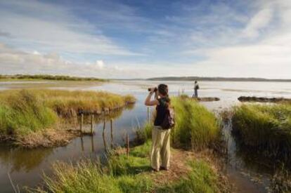 Observación de aves en la laguna de Santo André, en Portugal.