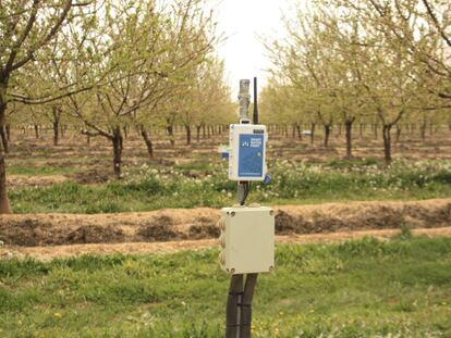 Uno de los sensores utilizados en la plantaci&oacute;n de Men&agrave;rguens (Lleida)