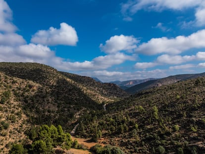 Imagen de las montañas de Taforalt, en Marruecos, donde se han encontrado los restos analizados para reconstruir parte de la historia del origen de la agricultura.
