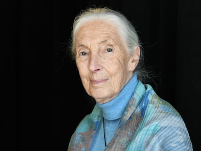 Jane Goodall en abril de 2019, en Nueva York.