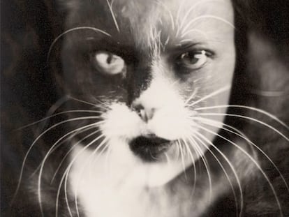 <i>Mujer con máscara de gato,</i> fotografía de Wanda Wulz que forma parte de la muestra <i>Female trouble,</i> de la Pinacoteca Moderna de Múnich.
