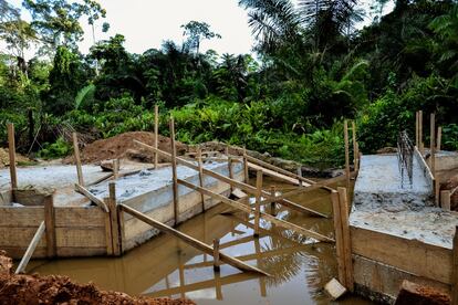 Construcción de un puente dentro de la Reserva del Dja para facilitar el paso de los camiones madereros.