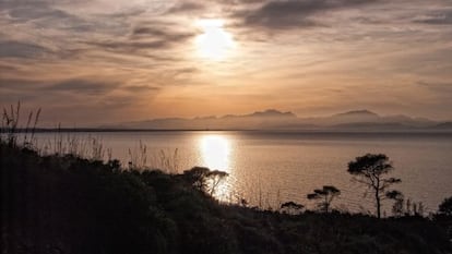 Una vida, los paisajes, la memoria de alguien son sus libros y papeles guardados