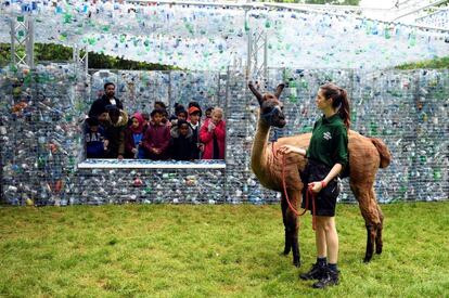 Una trabajadora del zoológico de Londres pasea a una llama junto a la escultura 'Derroche de espacio' hecha con botellas recicladas, en Lodres (Reino Unido).