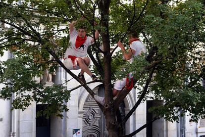 Cualquier sitio sirve para ver el encierro. Dos hombres desde lo alto de un árbol.