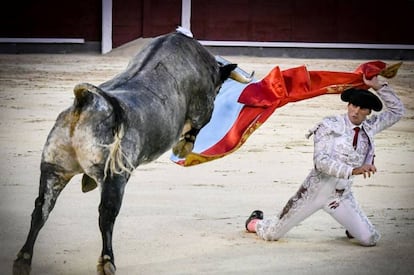 Francisco Montero recibe con el capote de paseo a un novillo, en Las Ventas el 25 de agosto de 2019.