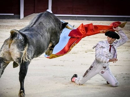 Francisco Montero recibe con el capote de paseo a un novillo, en Las Ventas el 25 de agosto de 2019.