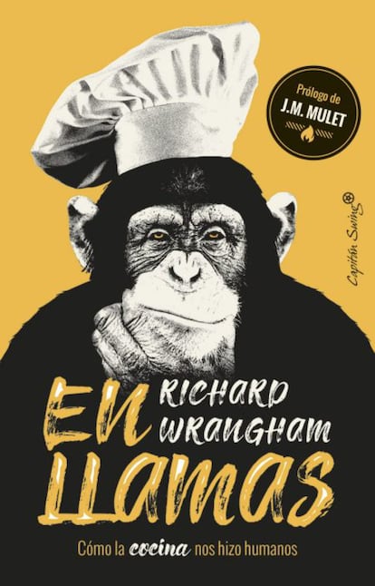 Desde Darwin y El origen del hombre, la evolución y la dispersión mundial de los seres humanos se han atribuido a nuestra inteligencia y adaptabilidad. Pero el renombrado primatólogo Richard Wrangham presenta una alternativa sorprendente: el éxito evolutivo es el resultado de la cocina. En el libro En llamas, cómo la cocina nos hizo humanos (Capitán Swing), Wrangham muestra que el cambio de consumo de alimentos crudos a alimentos cocidos fue uno de los factores clave en la evolución de la especie. Precio: 18,50 euros.