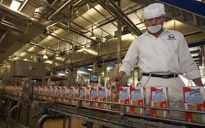 Un empleado en una planta de producción y envasado de leche en México.