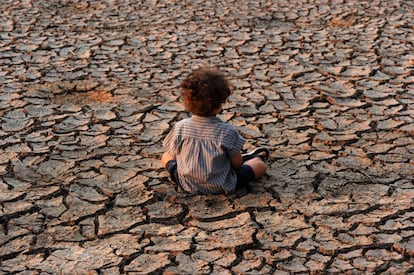 Entre sus muchos efectos, el cambio climático está aumentando la frecuencia, duración e impacto de las sequías. En América Latina, esto ha potenciado la inseguridad alimentaria para millones de personas.